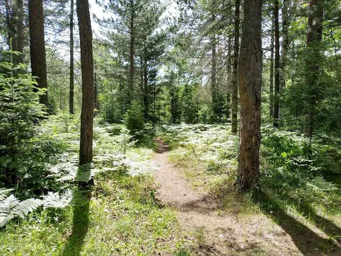 Sparrow Rapids Campground 6