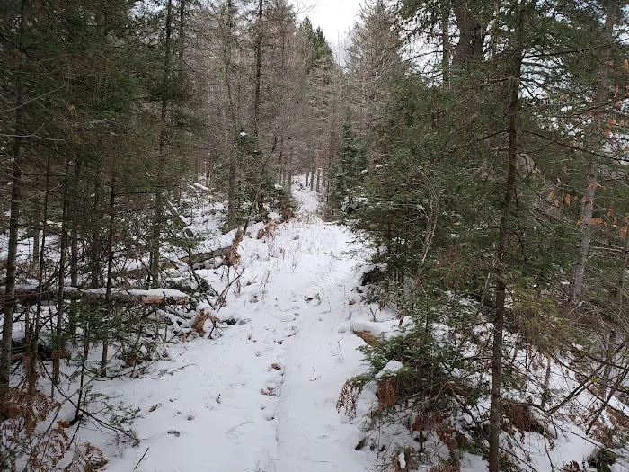 Sparrow Rapids Campground 5