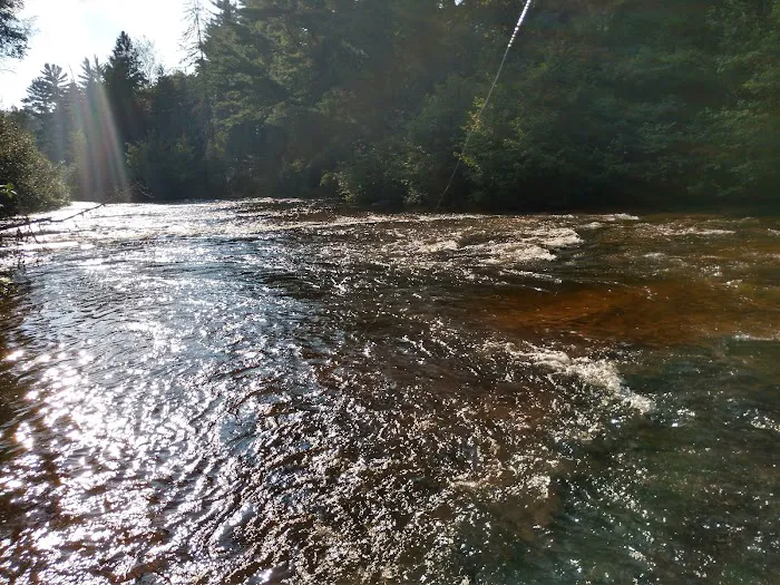 Sparrow Rapids Campground 9
