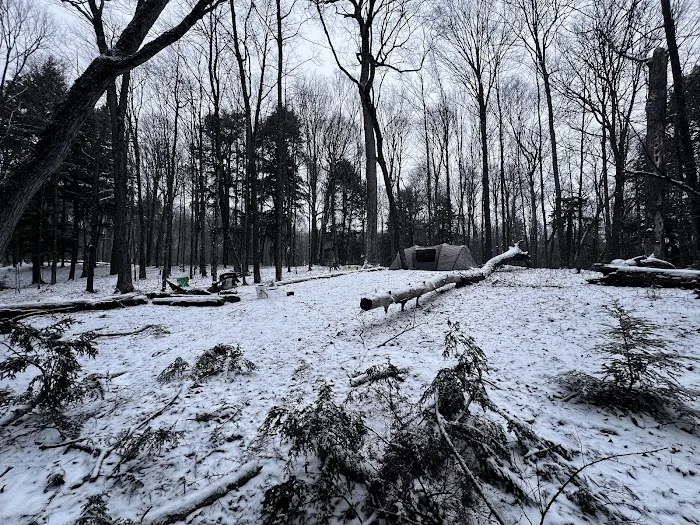 Wolf Campground 1