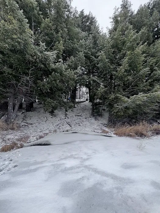 Wolf Campground 3