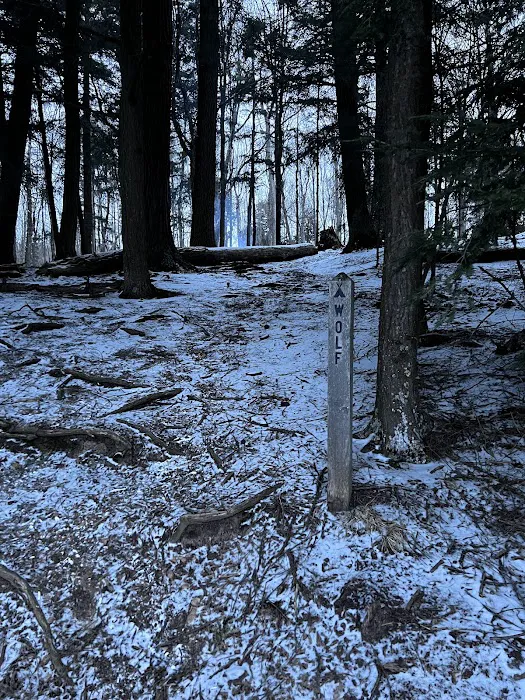 Wolf Campground 4