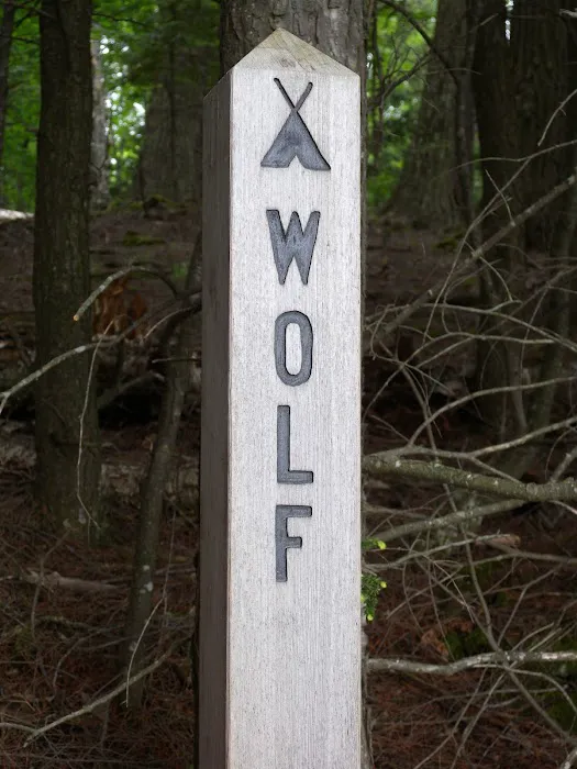 Wolf Campground 8