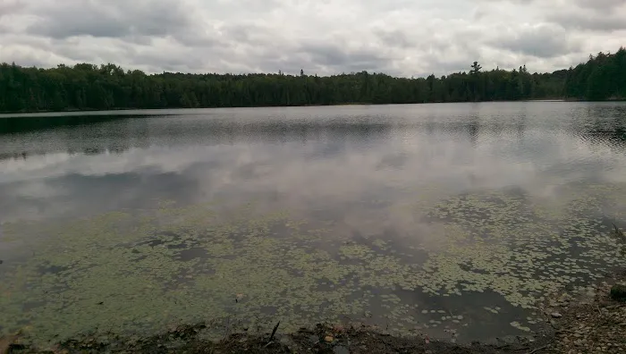 Wolf Campground 9