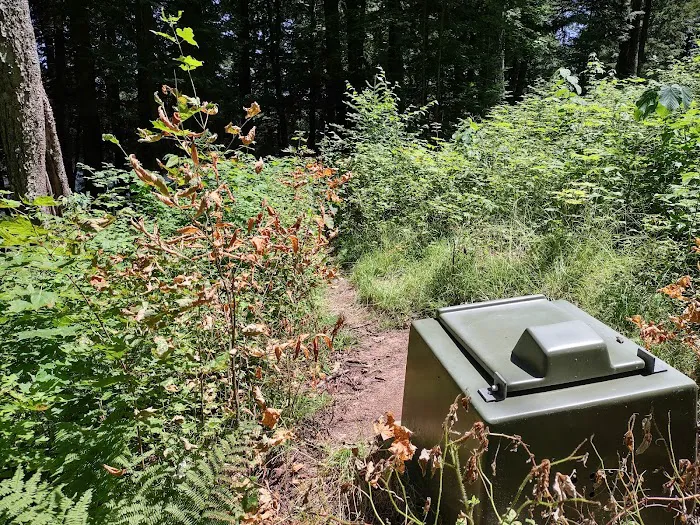 Bear Campground 0