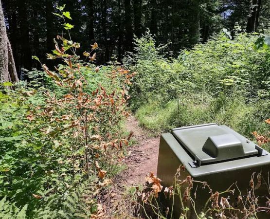 Bear Campground