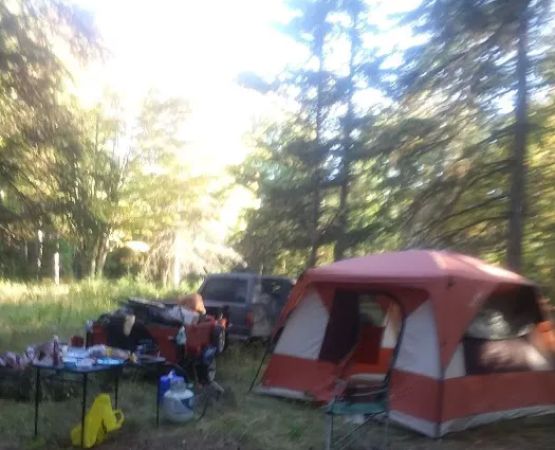 Matchwood Campground