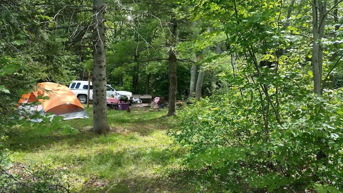 Bob Lake Campground 4