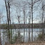 Courtney Lake Campground