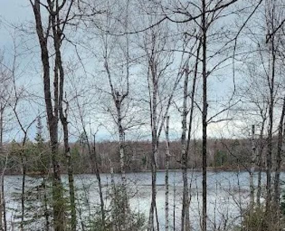 Courtney Lake Campground