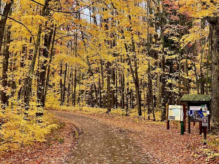 Courtney Lake Campground 5