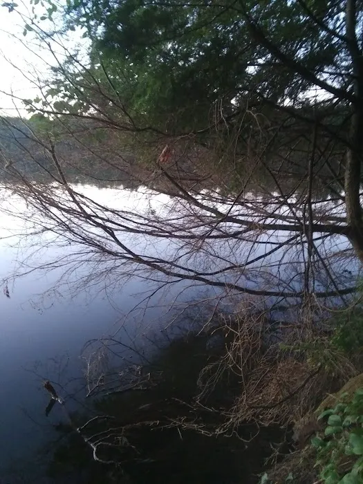 Courtney Lake Campground 7
