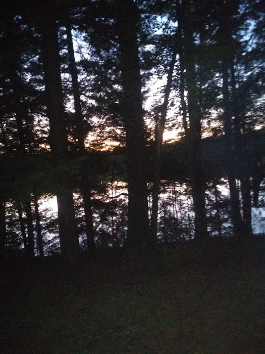 Courtney Lake Campground 9