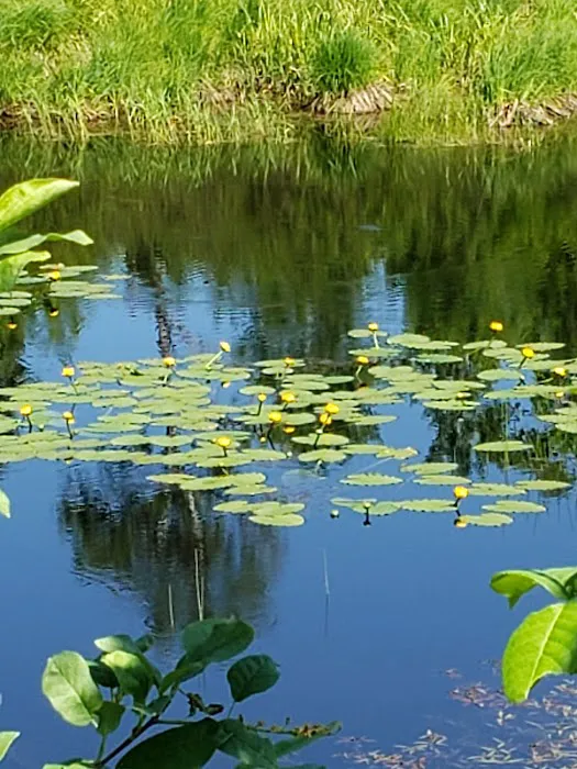 Bergland Township Park 3