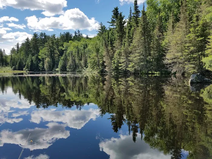 Lower Dam Lake Campground 2