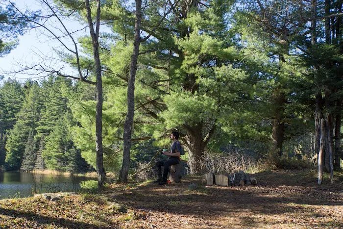 Lower Dam Lake Campground 1