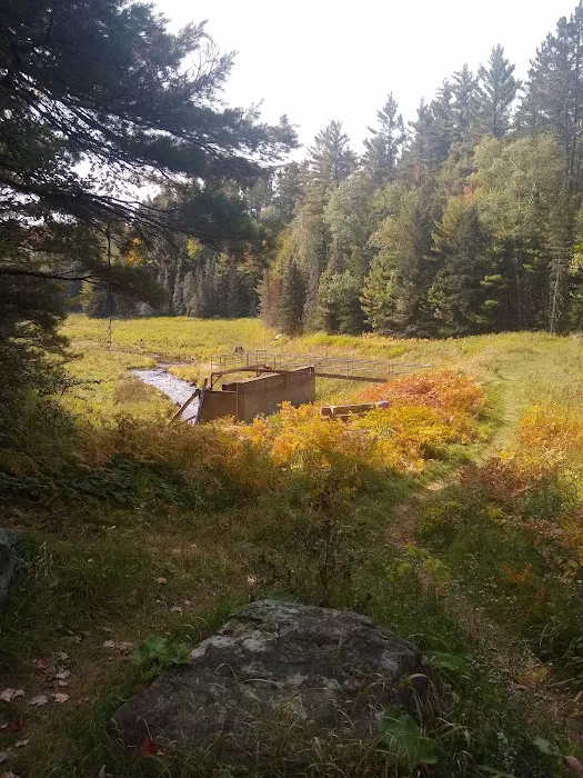 Lower Dam Lake Campground 0