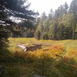 Lower Dam Lake Campground