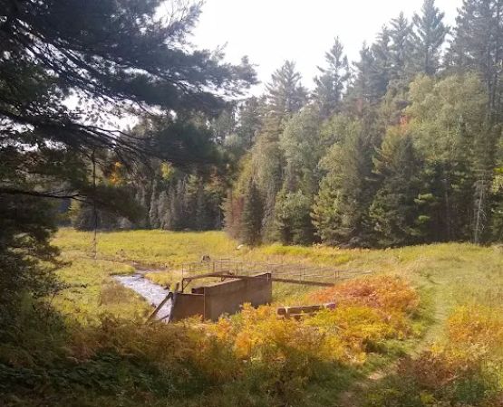 Lower Dam Lake Campground