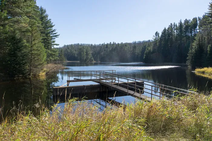 Lower Dam Lake Campground 6
