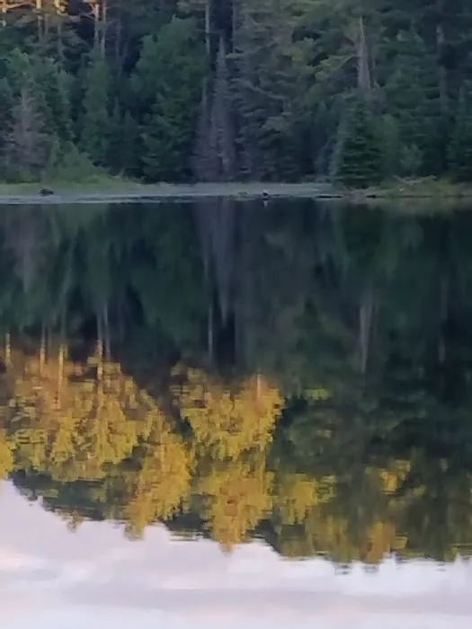 Lower Dam Lake Campground 8