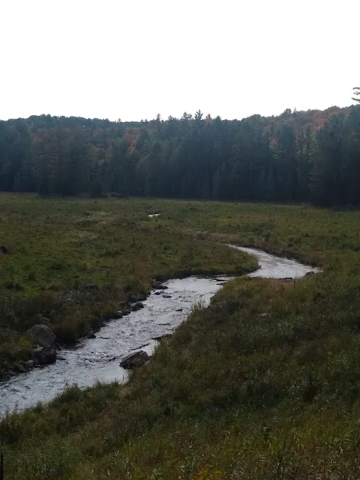 Lower Dam Lake Campground 9