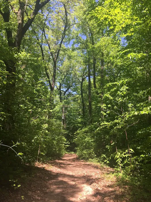 Roses Retreats Cabins & Campsites 2