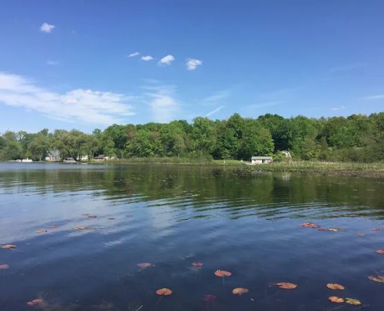 Roses Retreats Cabins & Campsites