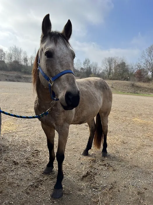 Fort Custer Equestrian Camp & Trailhead 4