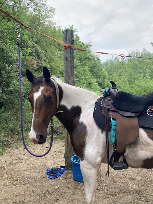 Fort Custer Equestrian Camp & Trailhead 7