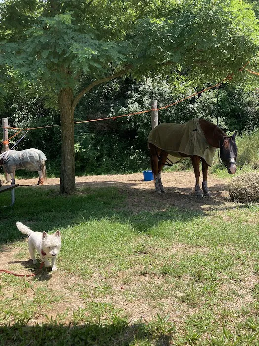 Fort Custer Equestrian Camp & Trailhead 8