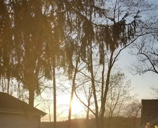 Rogers Resort Inc