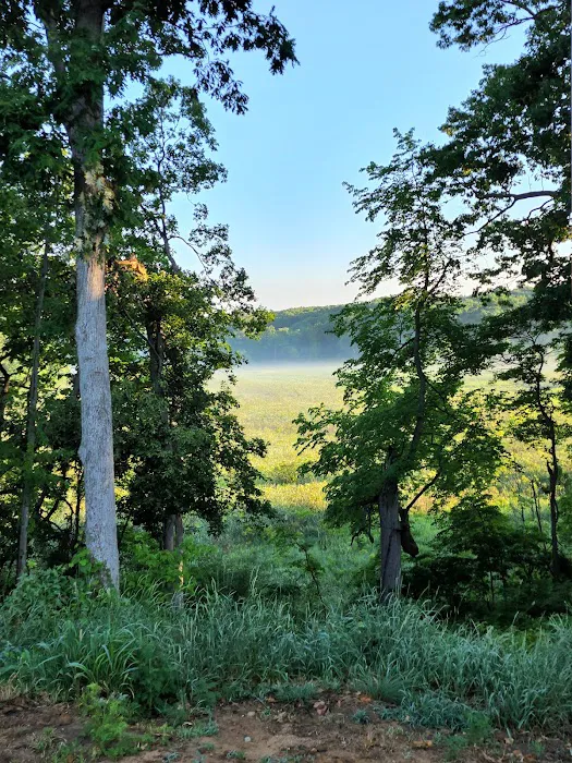Rocky's Hideaway 8