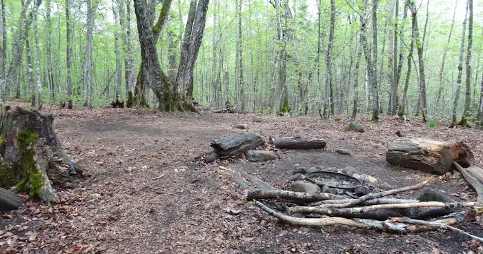 Island Mine Campground 1