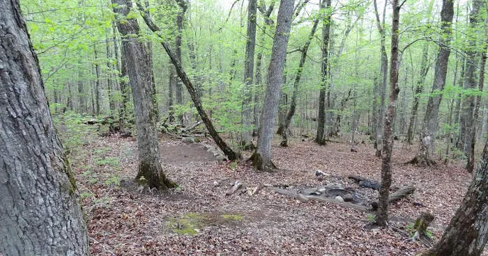 Island Mine Campground 4