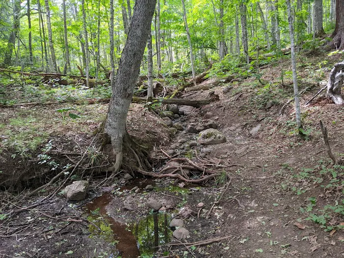 Island Mine Campground 7