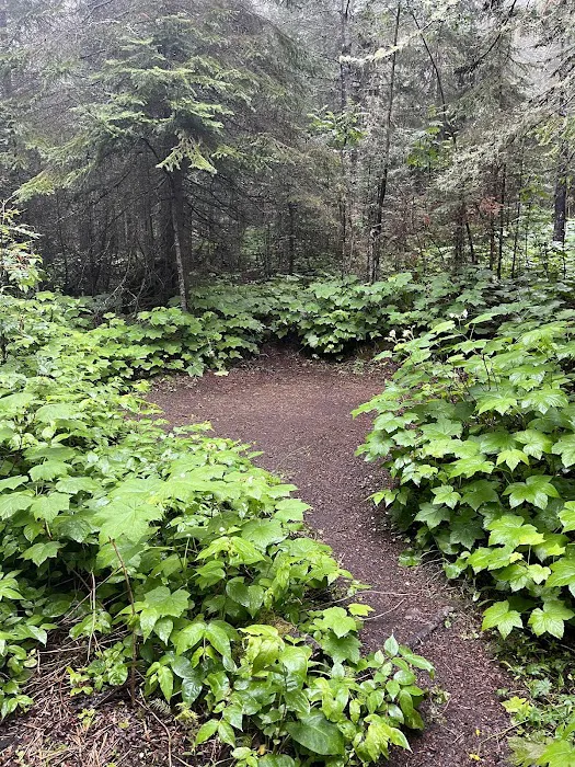 Todd Harbor Campground 2