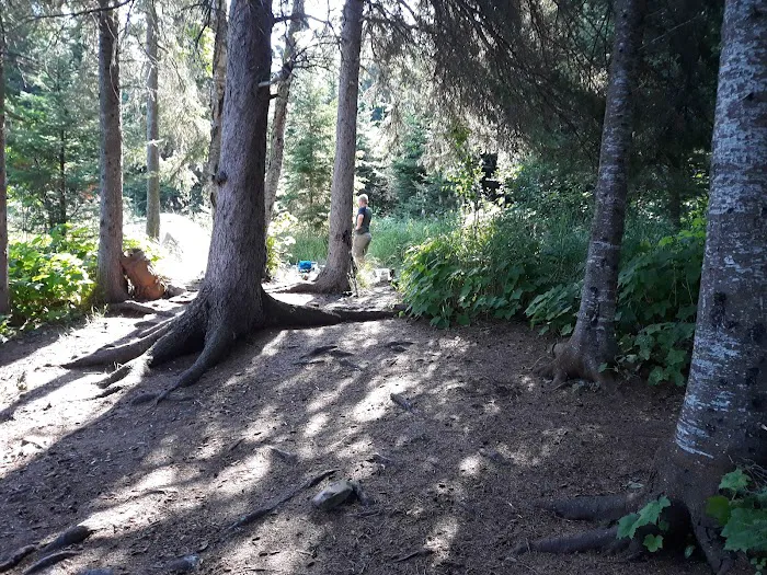 Todd Harbor Campground 8