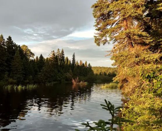 Washington Creek Campground