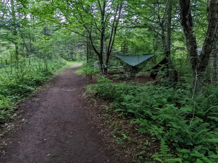 Washington Creek Campground 4