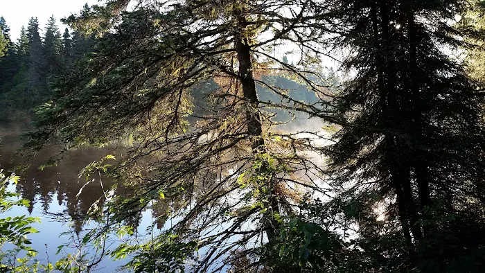 Washington Creek Campground 8