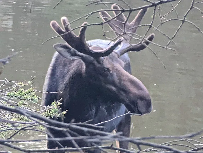 Washington Creek Campground 9