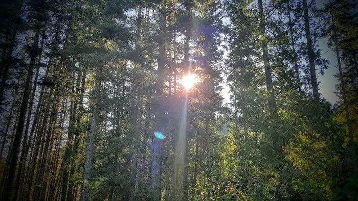 Huginnin Cove Campground 3