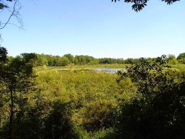 Twin Mills Campground 4