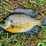 Woodland Oaks Campground