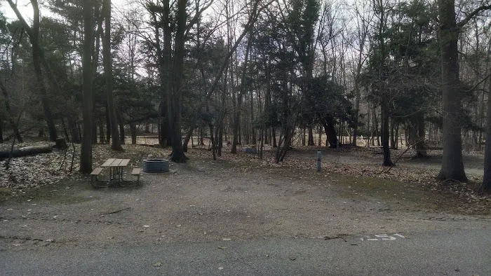 Beechwood Campground 1