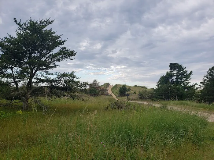 Jack Pine Campground 7