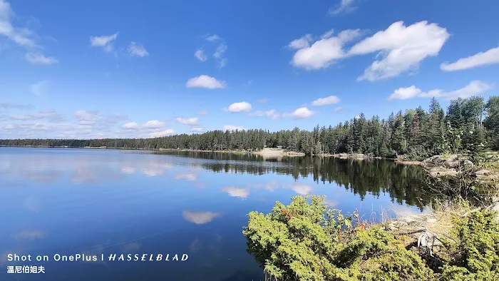 Shoe Lake Public Access 5