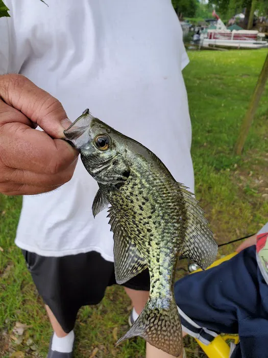 Camp and Fish LLC 2