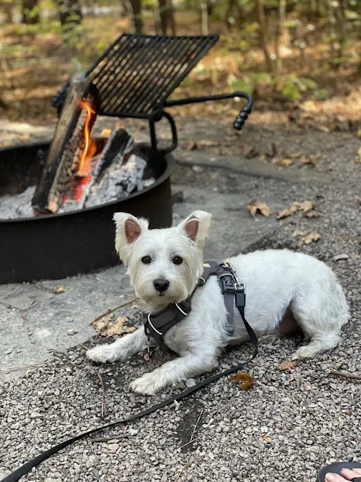 Holly Point Loop 3 Campgrounds 0